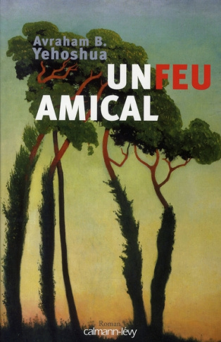 Un feu amical