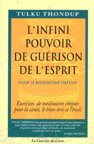 L'infini pouvoir de guérison de l'esprit selon le Bouddhisme tibétain. Exercices de méditation simpl