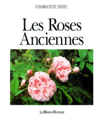 LES ROSES ANCIENNES