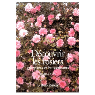 Découvrir les rosiers grimpants et buissonnants