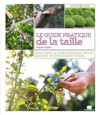 Le guide pratique de la taille