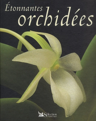 Etonnantes orchidées