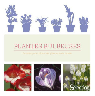 Plantes bulbeuses