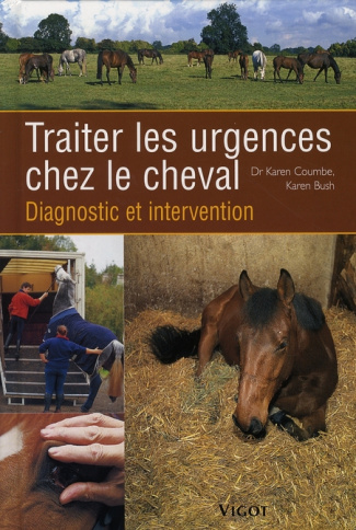Traiter les urgences chez le cheval. Diagnostic et intervention
