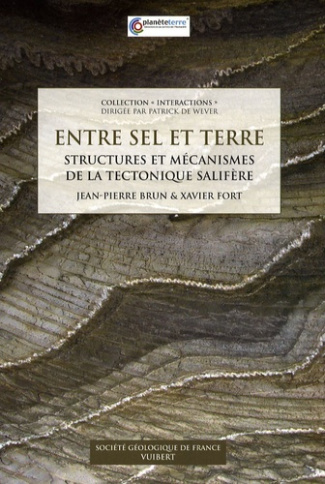 Entre sel et terre. Structures et mécanismes de la tectonique salifère