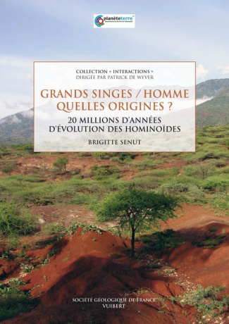 Grands singes / homme quelles origines ? 20 Millions d'années d'évolution des hominoïdes