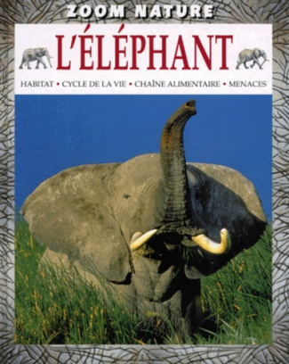 L'éléphant