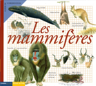Les mammifères