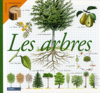 Les arbres