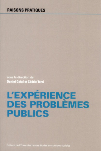 L'expérience des problèmes publics