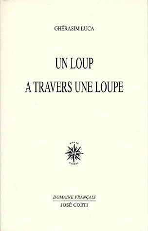 Un loup à travers une loupe