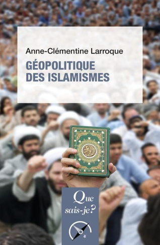 Géopolitique des islamismes - 4e édition