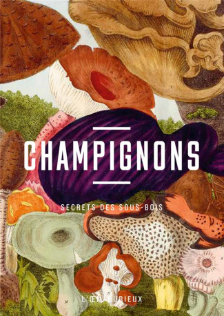 Champignons. Secrets des sous-bois
