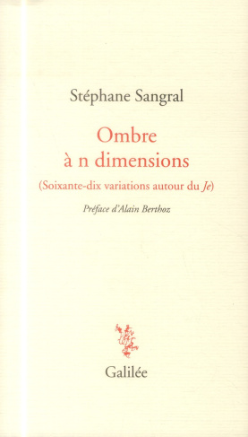 Ombre à n dimensions. (Soixante-dix variations autour du Je)