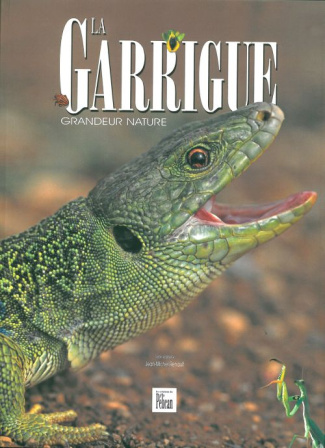 GARRIGUE GRANDEUR NATURE