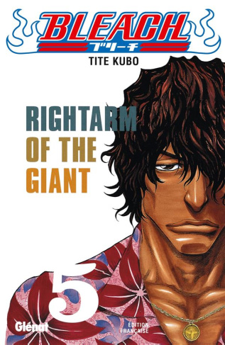 Bleach Tome 5 : Rightarm of the Giant