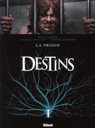 Destins Tome 12 : La prison