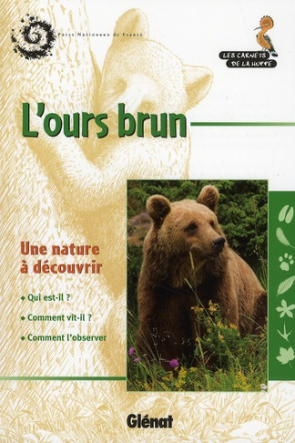 L'ours brun