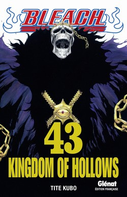 Bleach Tome 43 : Kingdom of Hollows