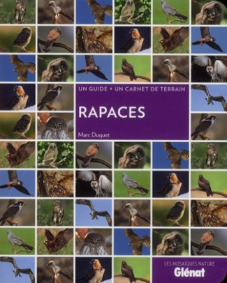 Rapaces