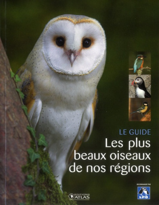 Le guide - Les plus beaux oiseaux de nos régions