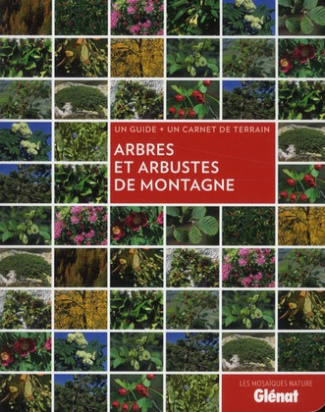 Arbres et arbustes de montagne. Un guide   un carnet de terrain
