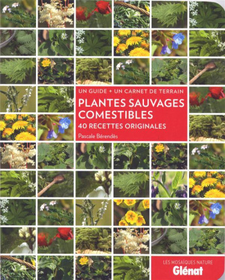 Plantes sauvages comestibles. 40 recettes originales