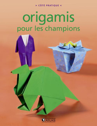 Origamis pour les champions