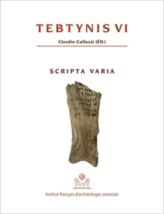 Tebtynis. Volume 6, Scripta varia : textes hiéroglyphiques, hiératiques, démotiques, araméens, grecs
