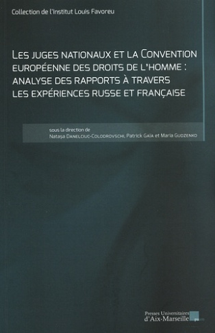 Les juges nationaux et la Convention européenne des droits de l'homme : analyse des rapports à trave