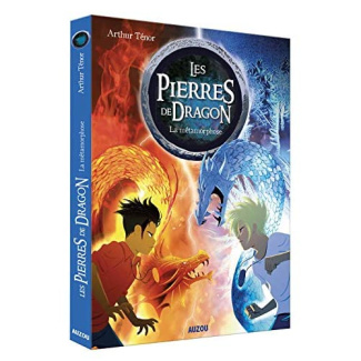 Les pierres de dragon Tome 1 : La métamorphose