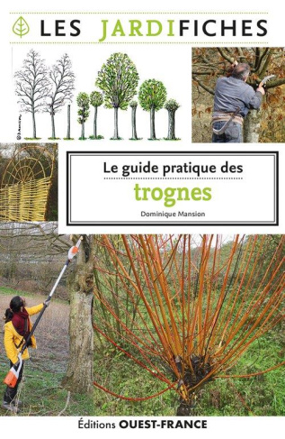 Le guide pratique des trognes