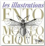 LES ILLUSTRATIONS ENTOMOLOGIQUES