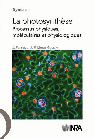 LA PHOTOSYNTHESE. PROCESSUS PHYSIQUES, MOLECULAIRES ET PHYSIOLOGIQUES