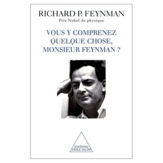 Vous y comprenez quelque chose, Monsieur Feynman ?