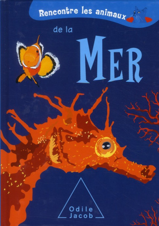 Rencontre les animaux de la mer