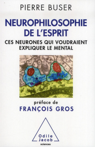 Neurophilosophie de l'esprit. Ces neurones qui voudraient expliquer le mental