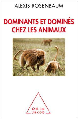 Dominants et dominés chez les animaux. Petite sociologie des hiérarchies animales