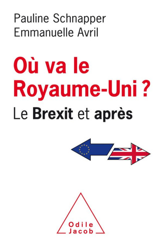 Où va le Royaume Uni ? Le Brexit et après