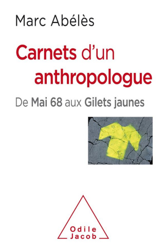 Carnets d'un anthropologue. De Mai 68 aux Gilets jaunes