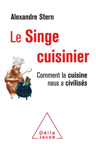 Le singe cuisinier