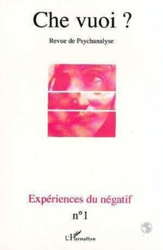 EXPERIENCES DU NEGATIF