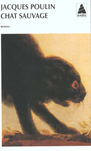 CHAT SAUVAGE