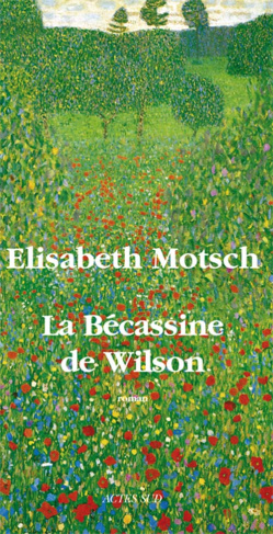 La Bécassine de Wilson