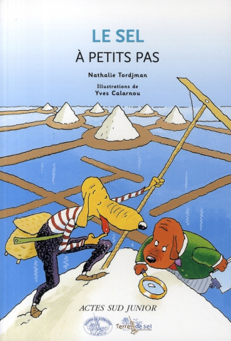 Le sel à petits pas