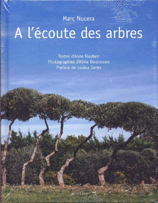 A l'écoute des arbres