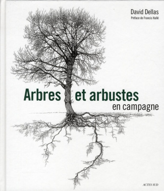 Arbres et arbustes en campagne