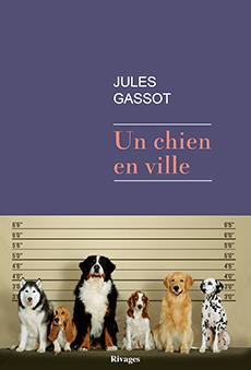 Un chien en ville