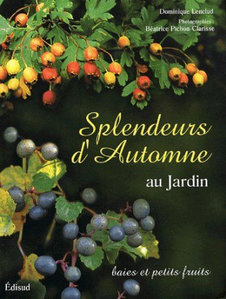 SPLENDEURS D'AUTOMNE AU JARDIN