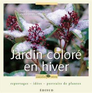 JARDIN COLORE EN HIVER